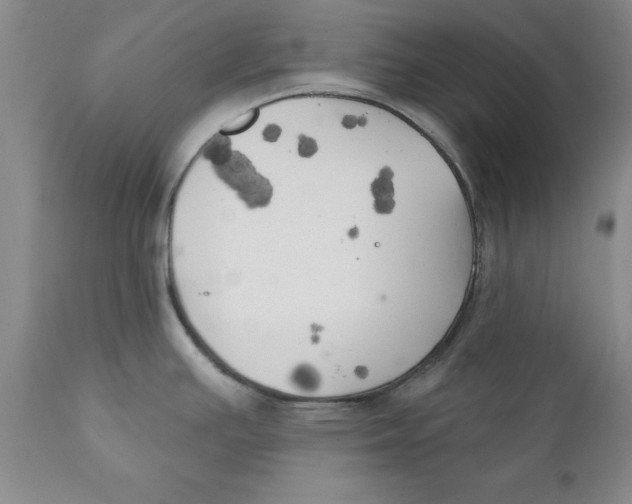 X0000111241391200907231518