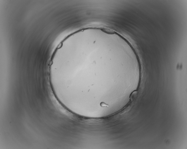 X0000111241392200907231518