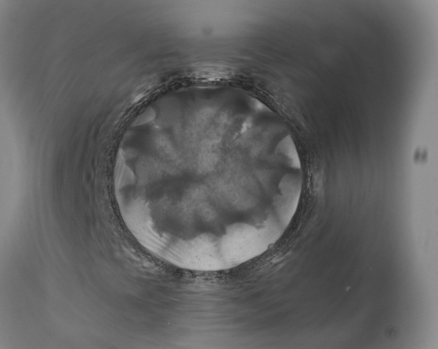 X0000111241393200907231517