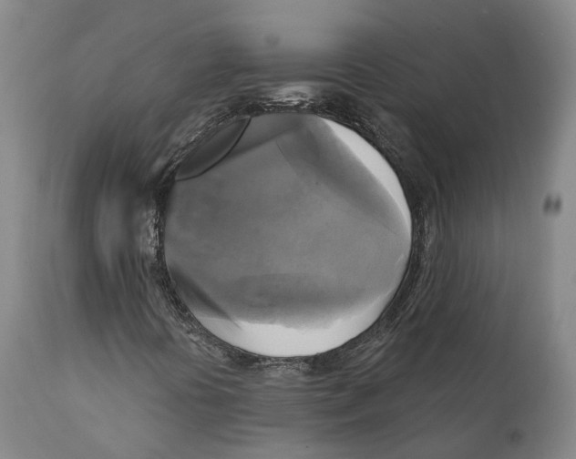 X0000111241394200907231517