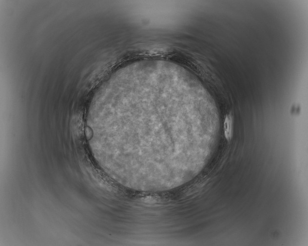 X0000111241395200907231517