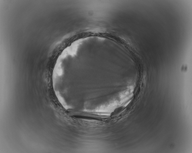 X0000111241398200907231517