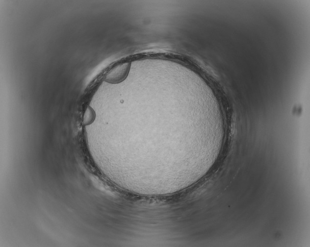 X0000111241400200907231517