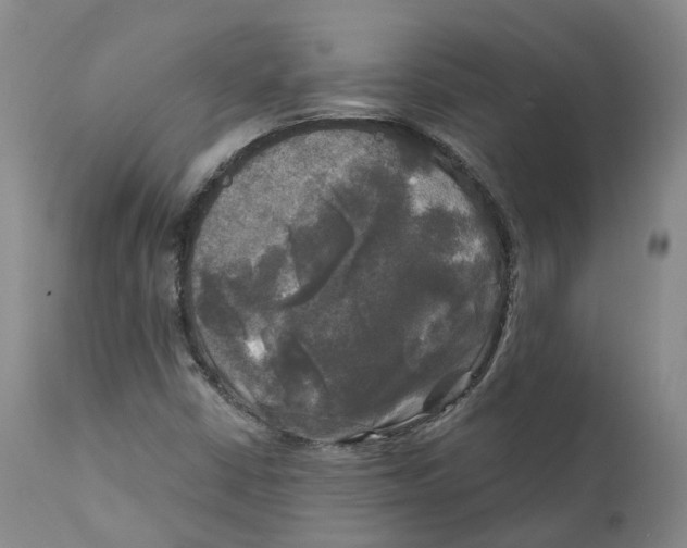 X0000111241402200907231517