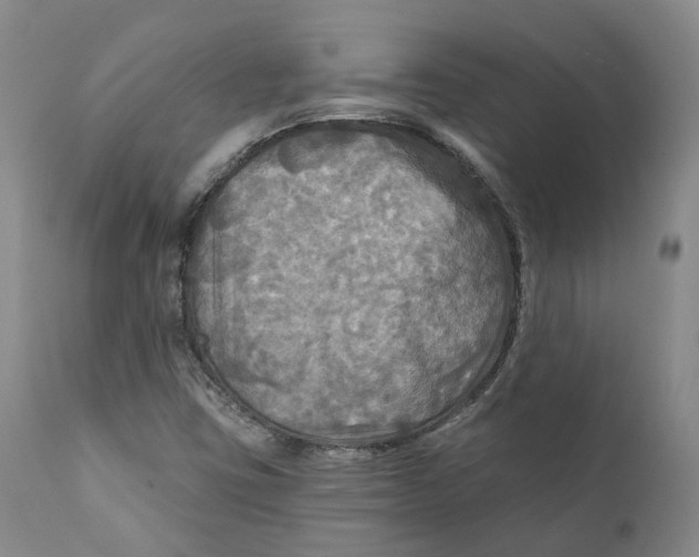 X0000111241403200907231517