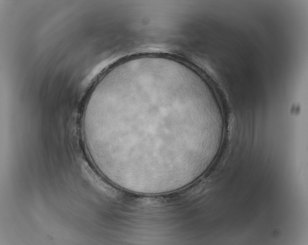 X0000111241404200907231517