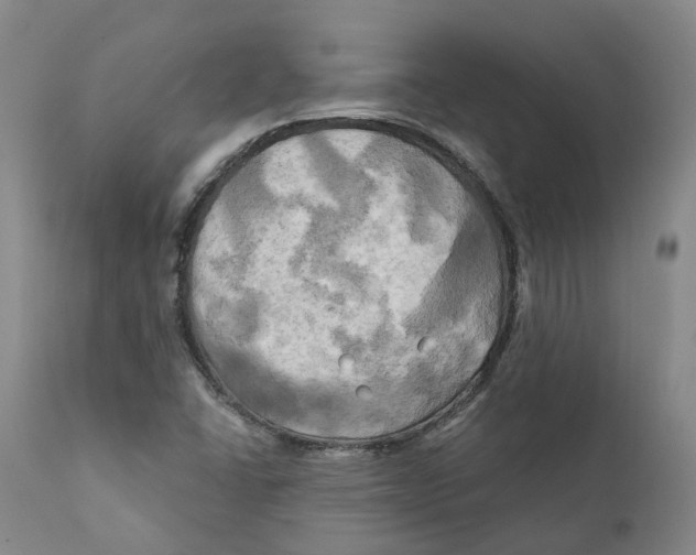 X0000111241406200907231517