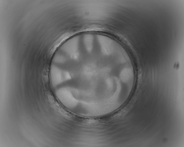 X0000111241409200907231517