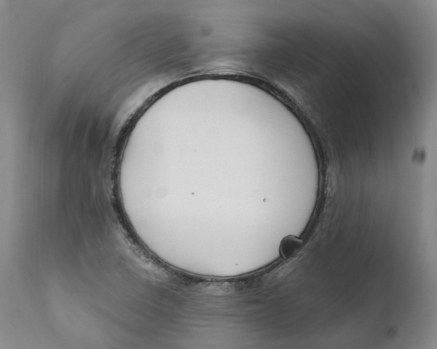 X0000111241410200907231517