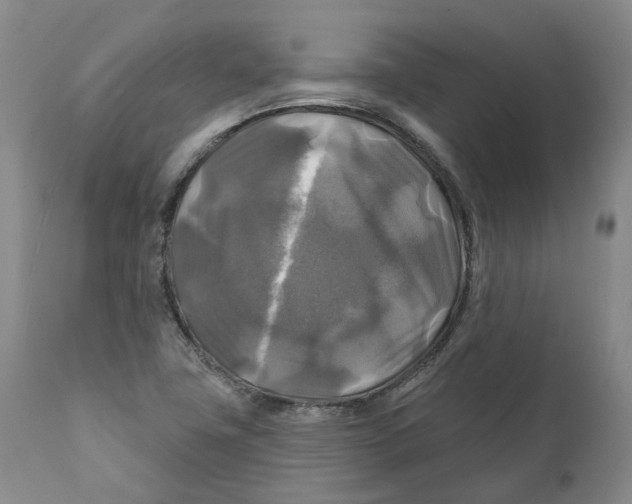 X0000111241411200907231517