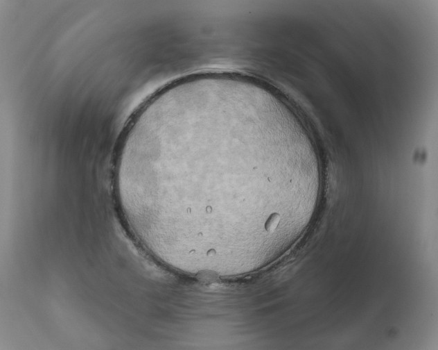 X0000111241412200907231517