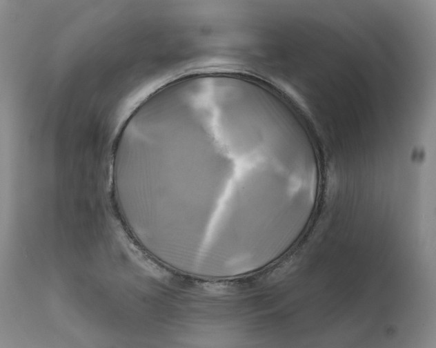 X0000111241413200907231517