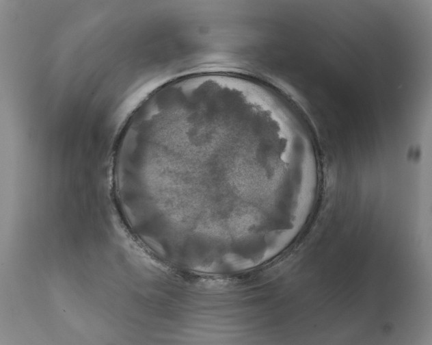 X0000111241415200907231517