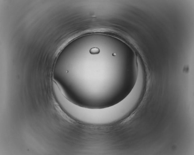 X0000111241417200907231517