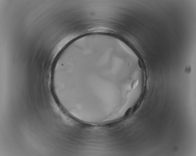 X0000111241418200907231517