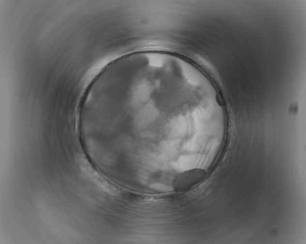 X0000111241419200907231517