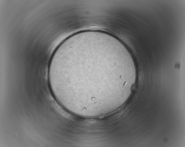 X0000111241420200907231517