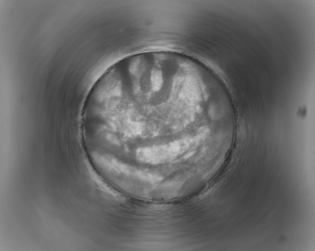 X0000111241423200907231517