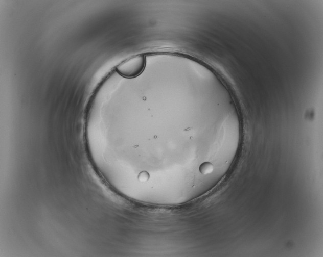 X0000111241424200907231517