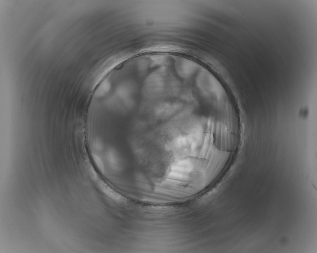 X0000111241425200907231517