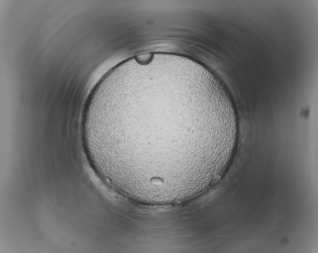 X0000111241426200907231517