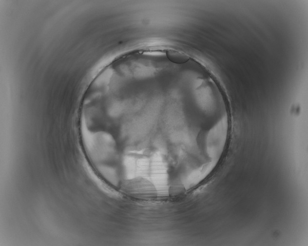 X0000111241429200907231517