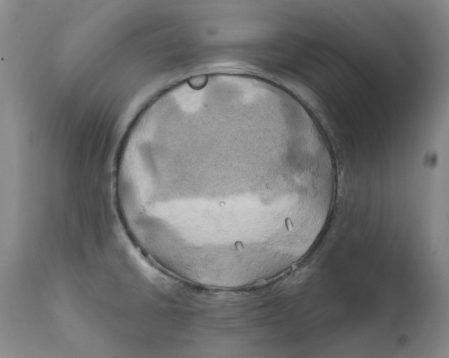 X0000111241430200907231517