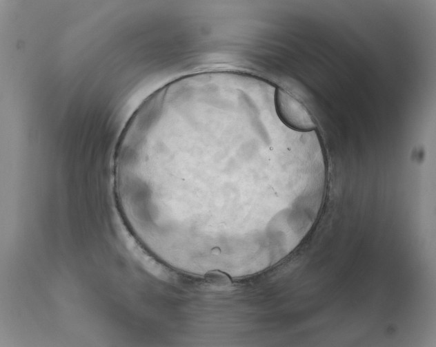 X0000111241431200907231517