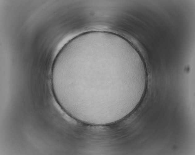 X0000111241432200907231517