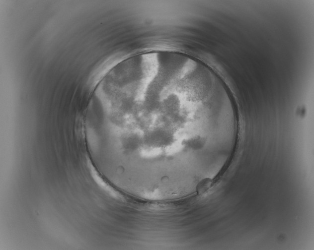 X0000111241433200907231517