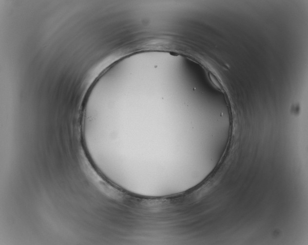 X0000111241434200907231518