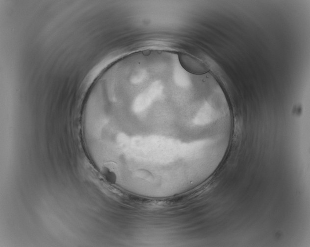 X0000111241435200907231518