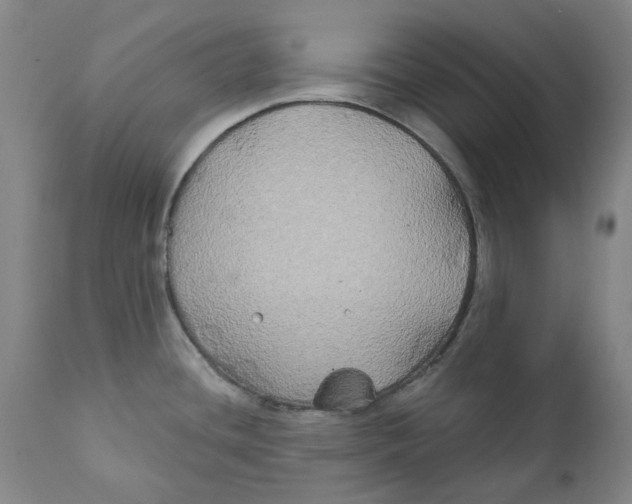 X0000111241436200907231518