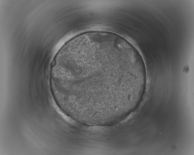 X0000111241437200907231518