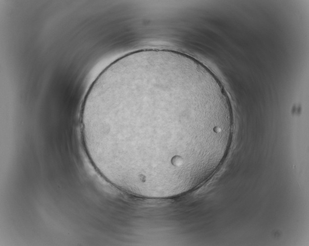 X0000111241440200907231518