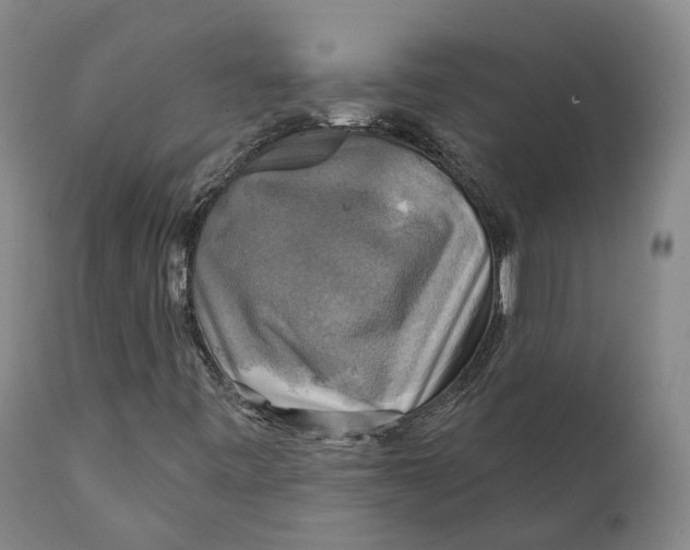 X0000111241443200907231517