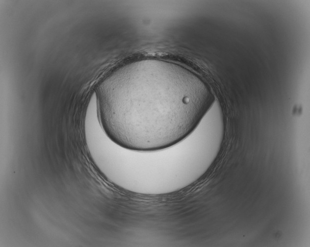 X0000111241444200907231517