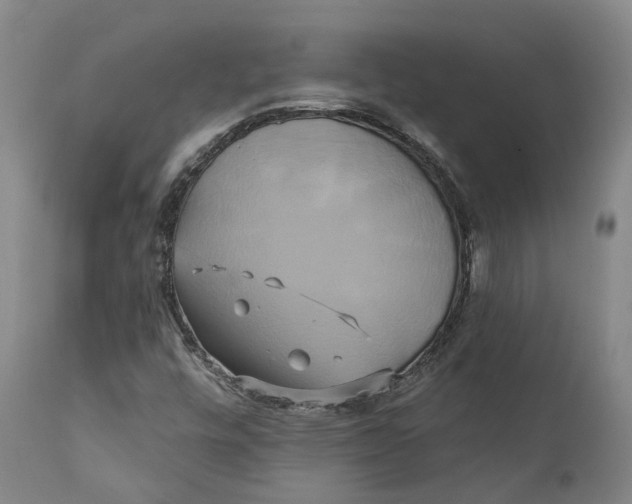 X0000111241448200907231517