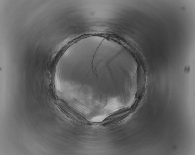 X0000111241449200907231517