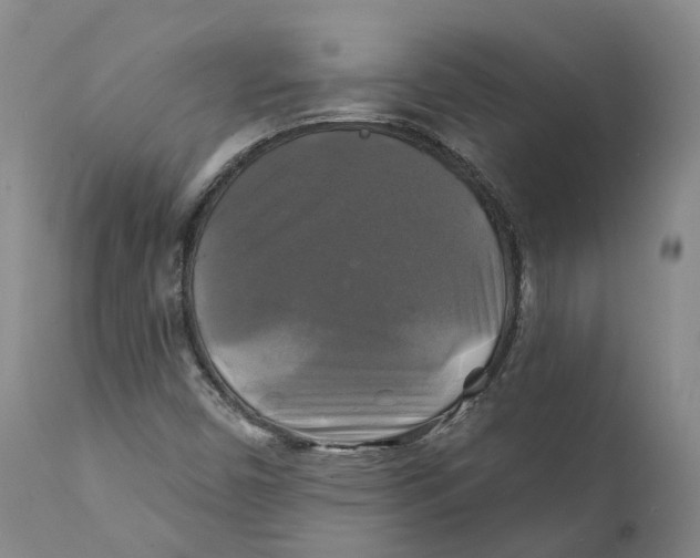 X0000111241450200907231517