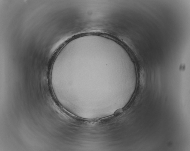 X0000111241452200907231517