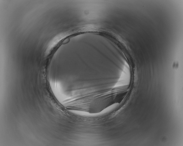 X0000111241453200907231517