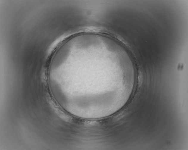 X0000111241454200907231517