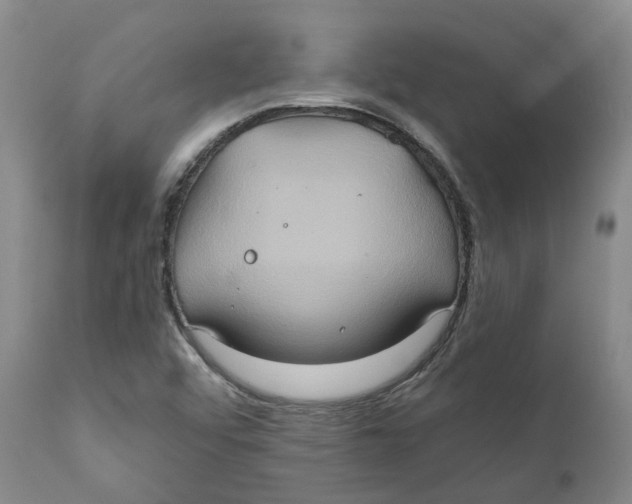 X0000111241456200907231517