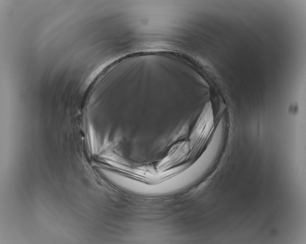 X0000111241457200907231517