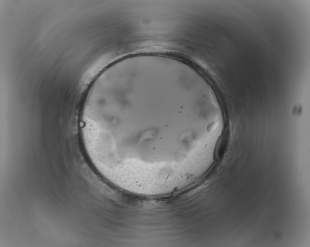 X0000111241459200907231517