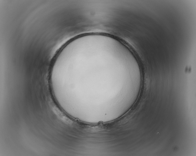 X0000111241460200907231517