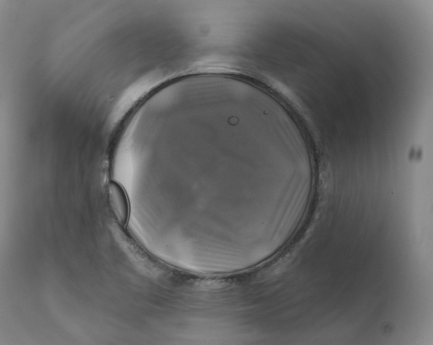 X0000111241461200907231516