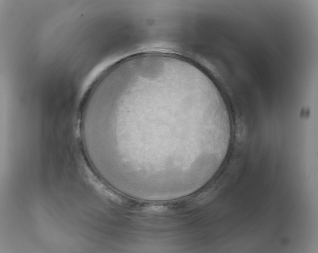 X0000111241462200907231516