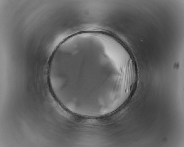 X0000111241463200907231516